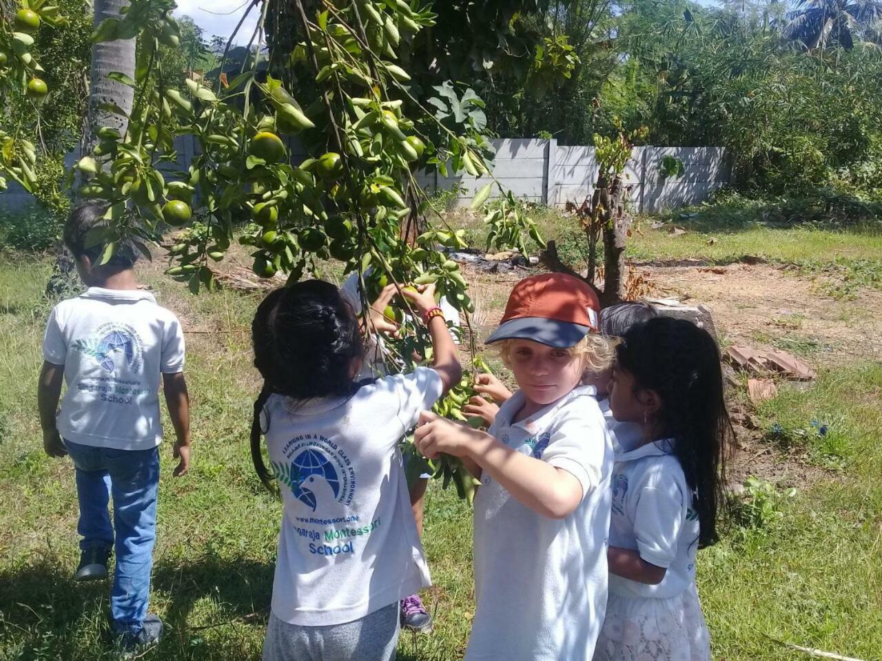 Buana Ecofarm Ecolodge Grokgak 外观 照片