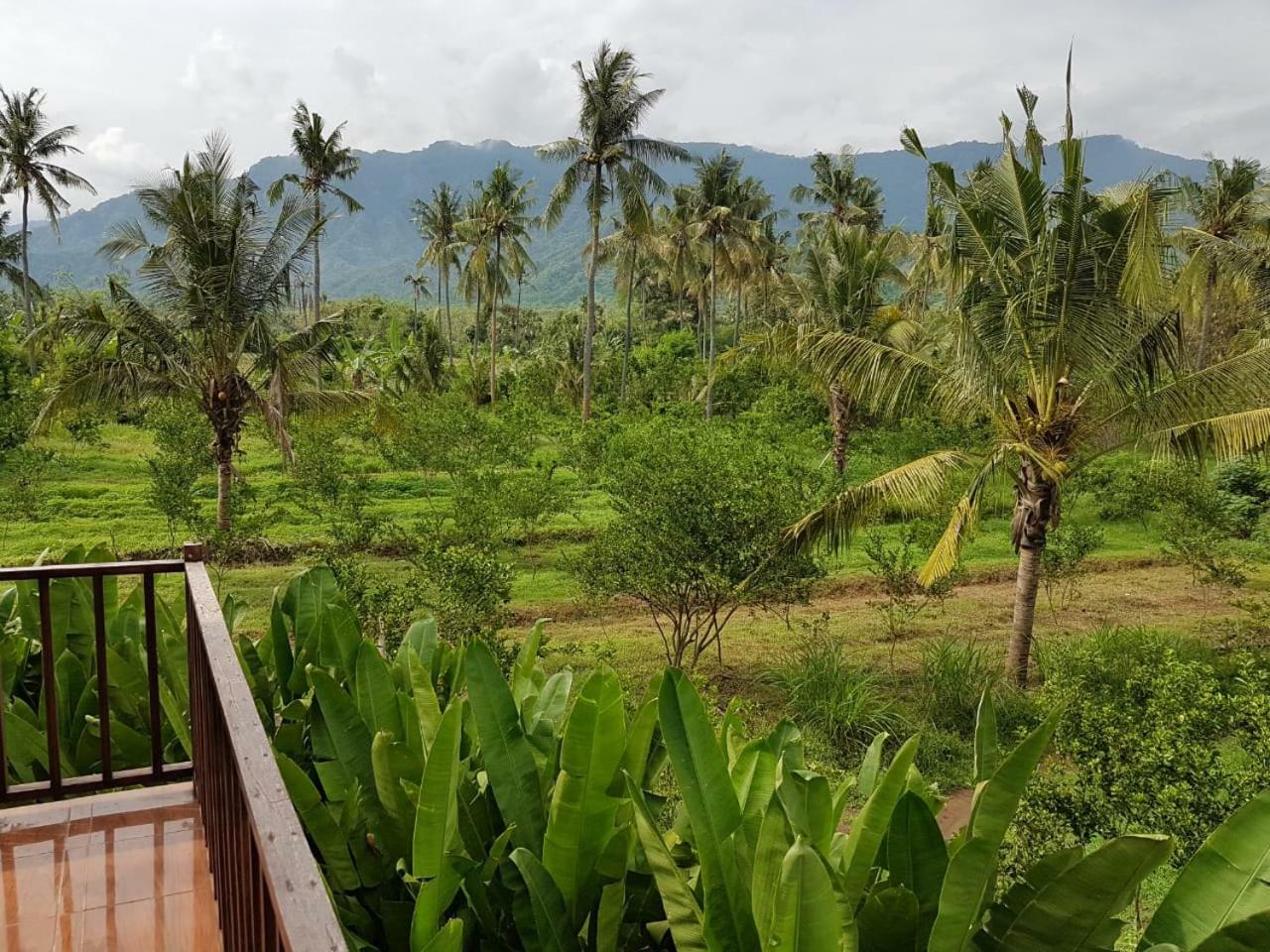 Buana Ecofarm Ecolodge Grokgak 外观 照片