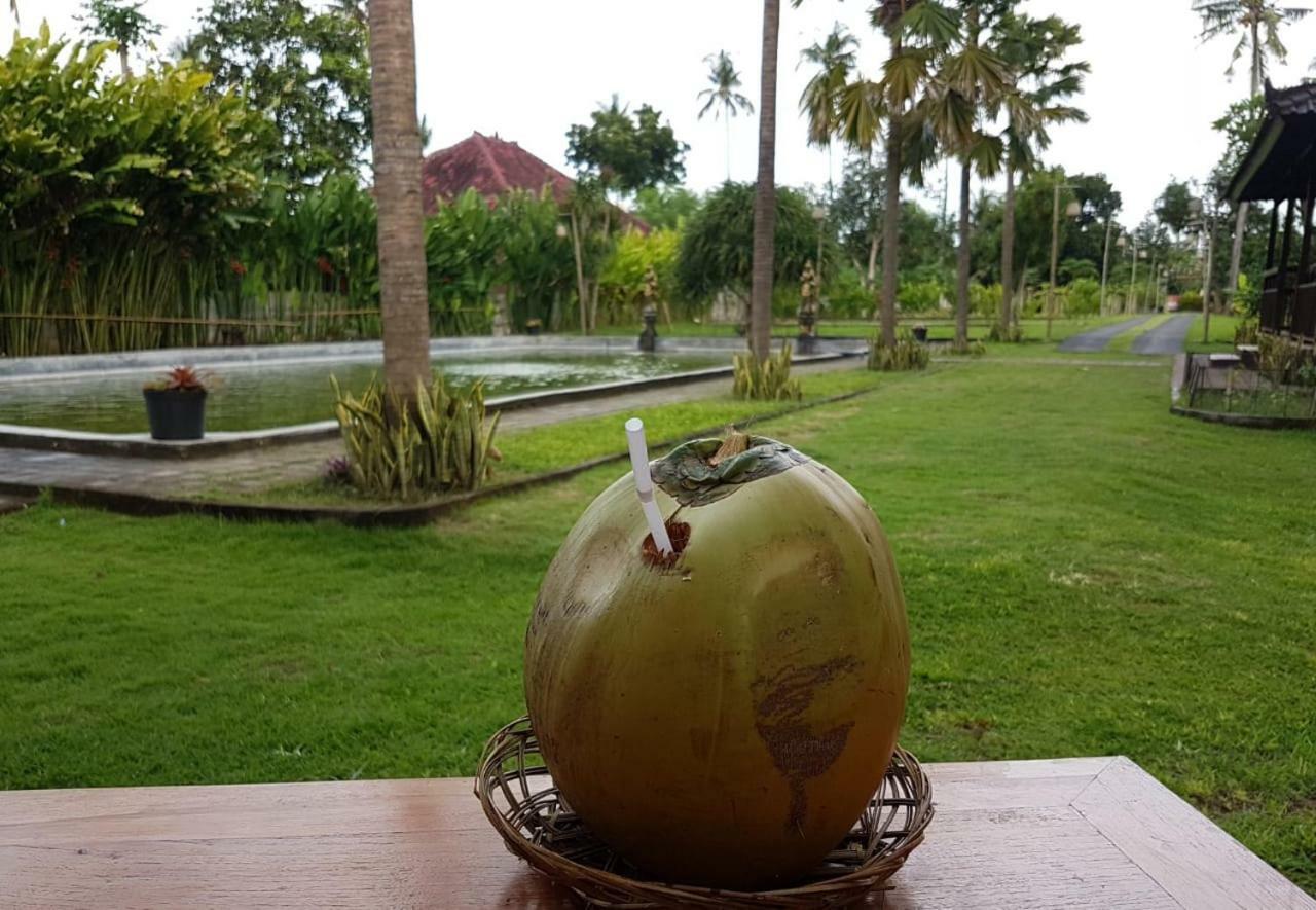 Buana Ecofarm Ecolodge Grokgak 外观 照片